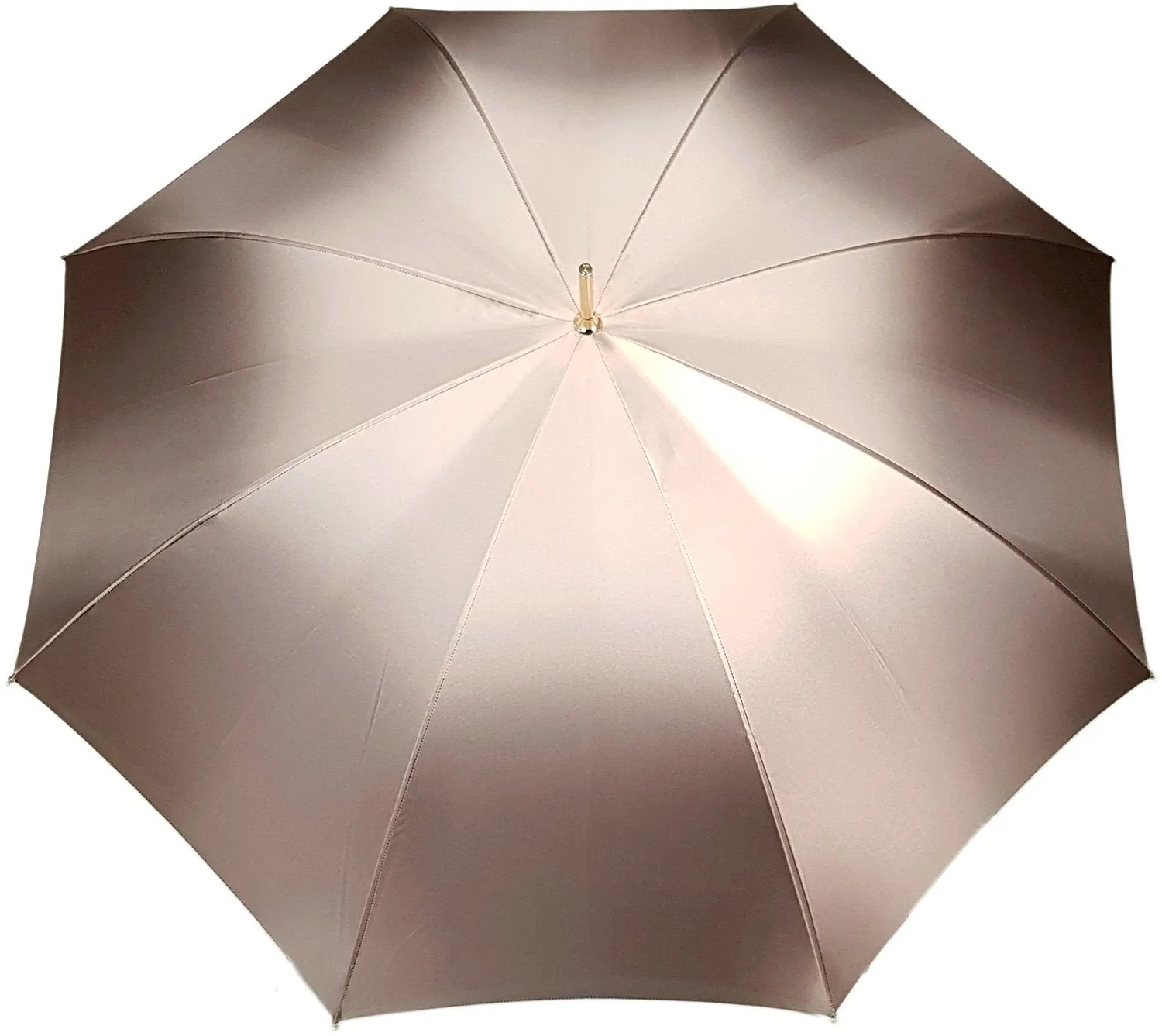 Awesome Dolphin Umbrella - Blue Rose Inside