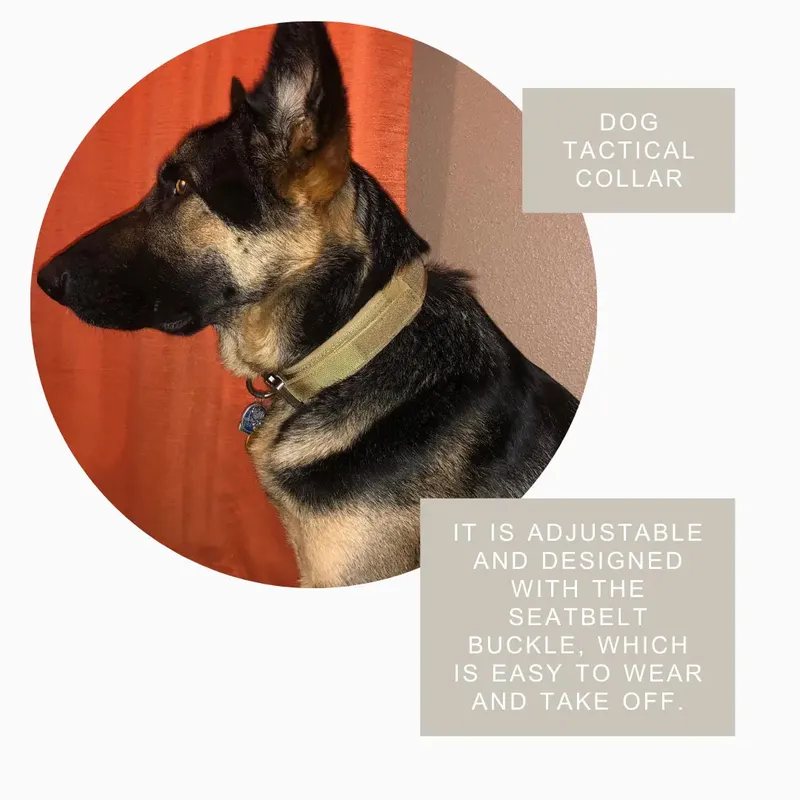 Durable Military Tactical Dog Collar – Heavy-Duty Comfort