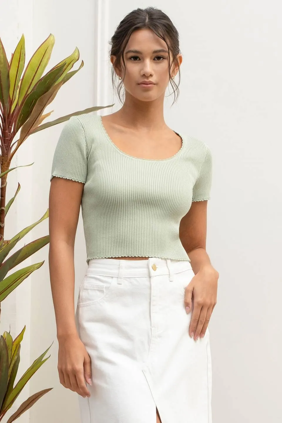 SCALLOP TRIM SHORT SLEEVE SWEATER KNIT TOP
