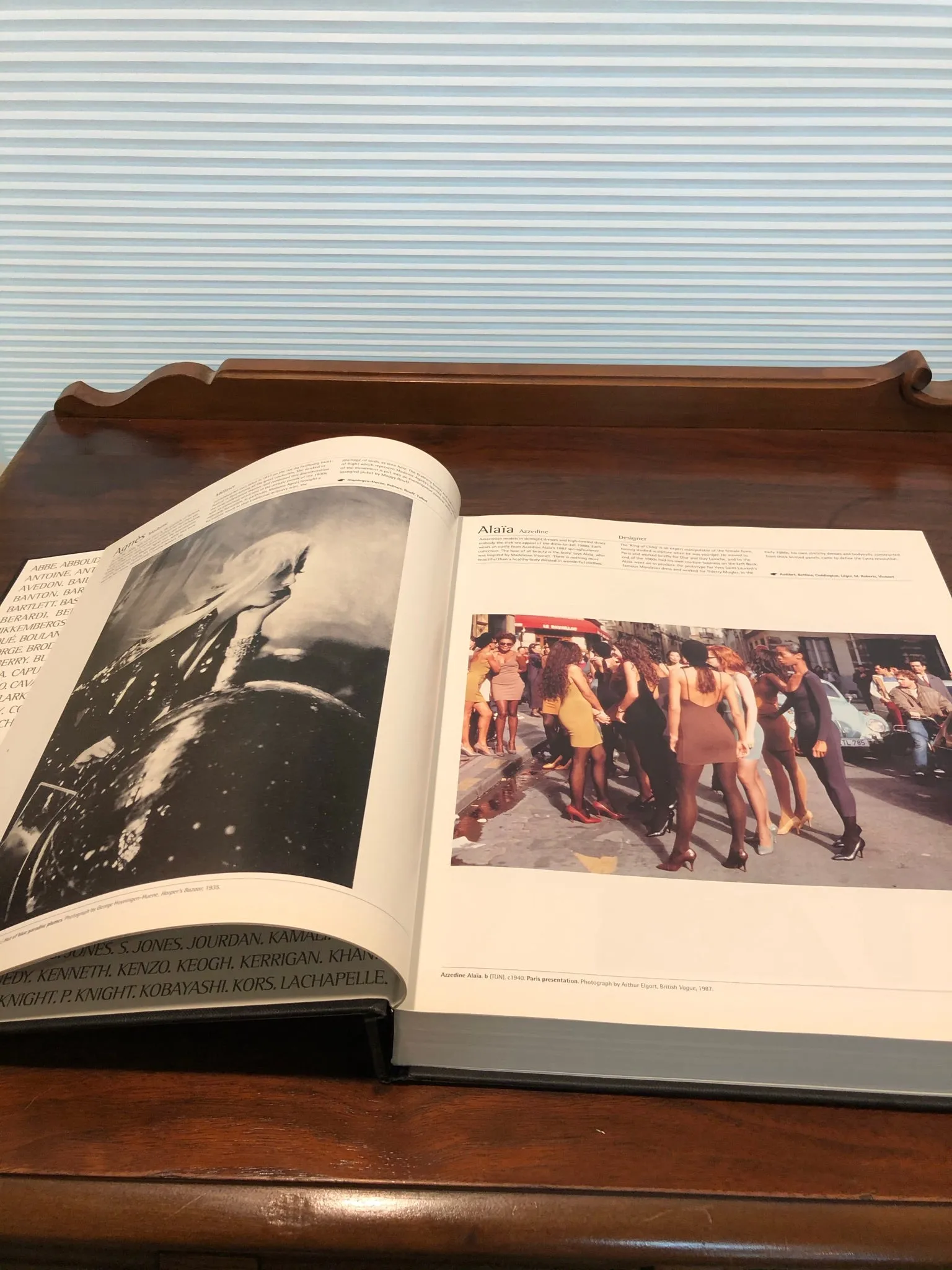 The Fashion Book
